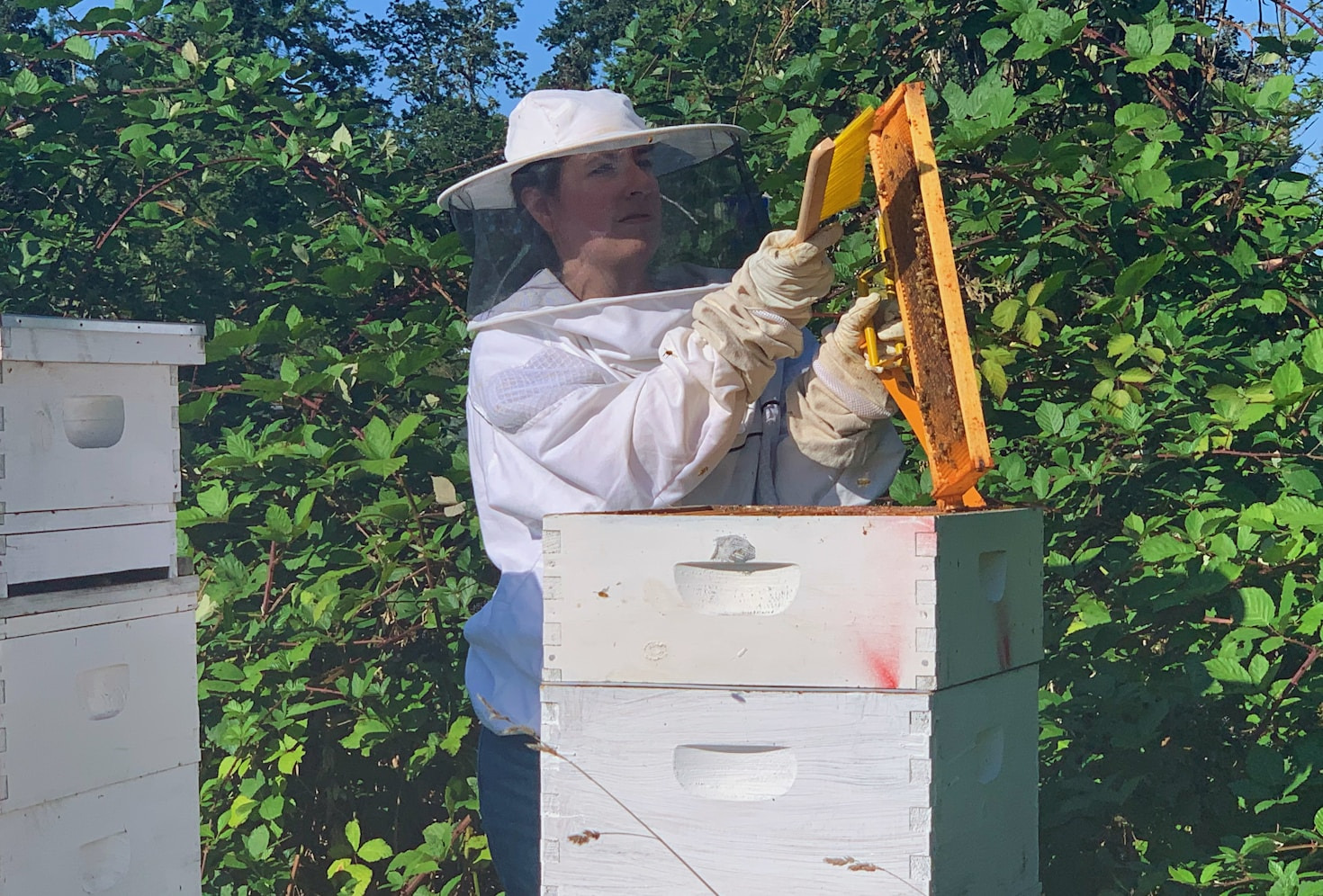 Step-by-Step Guide to Assembling Hive Kits